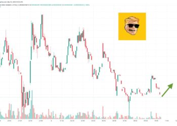 WSB Coin Price Prediction as WSB Blasts Up 6000% in 24 Hours – What’s Going On?