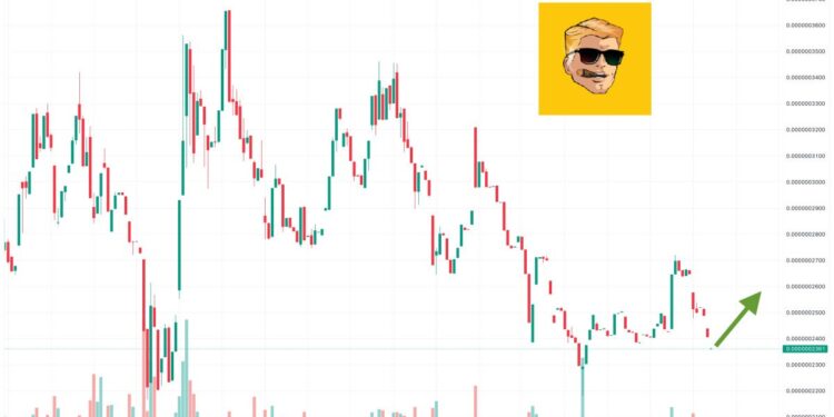 WSB Coin Price Prediction as WSB Blasts Up 6000% in 24 Hours – What’s Going On?