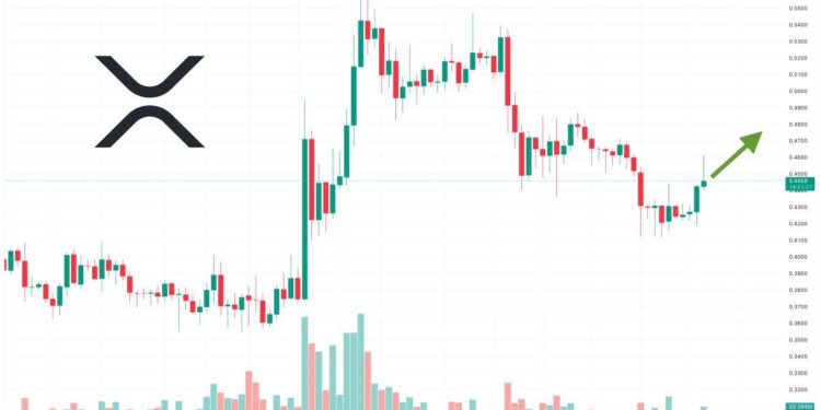 XRP Price Prediction as Judge Rules in Favor of Ripple to Deny SEC Motion to Seal Hinman Documents – XRP to $1?