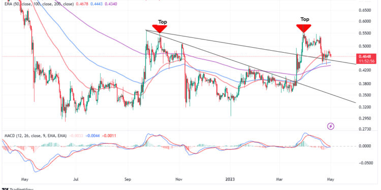 XRP Price Prediction as $800 Million Trading Volume Sends XRP into the Green – Are Whales Buying