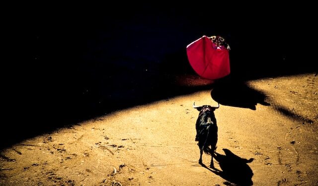 “Yes, This Is A Bull Market” Expert Explains Why Bitcoin Will Outperform Tesla’s +162%