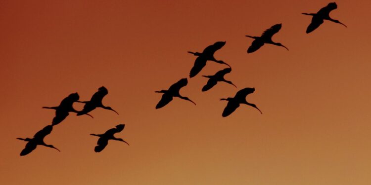 GRT Soars 13% As The Graph Prepares To Integrate Arbitrum