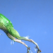 PEPE Jumps 10% In 24 Hours, Sparking Speculation Of A Rally