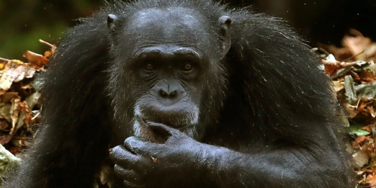 Is There A Silver Lining Ahead?