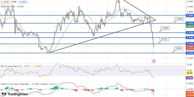 Cardano Price Prediction as Founder Charles Hoskinson Appears to Settle Differences with XRP Community Amid SEC Crypto Crackdown – Has ADA Bottomed Already?