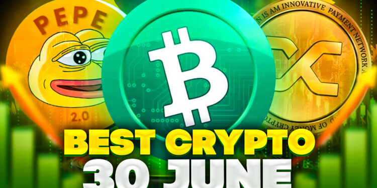 Best Crypto to Buy Now 30 June – Bitcoin Cash, Synthetix Network, Pepe