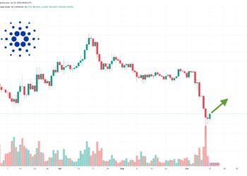Cardano Price Prediction as ADA Becomes Best Performing Coin of the Day – Are Whales Buying the Dip?