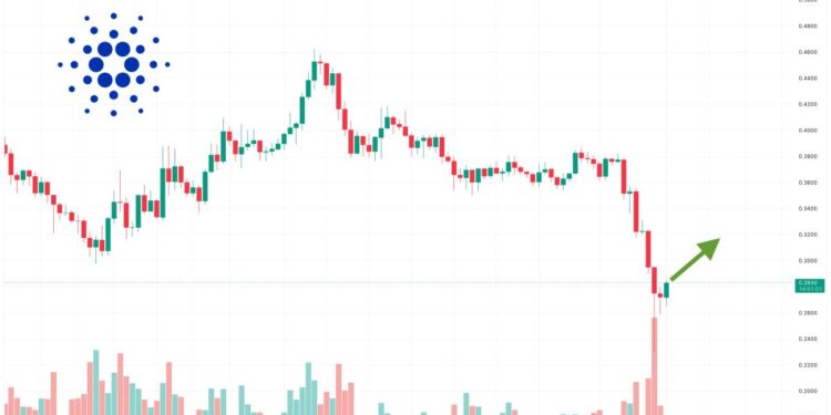 Cardano Price Prediction as ADA Becomes Best Performing Coin of the Day – Are Whales Buying the Dip?
