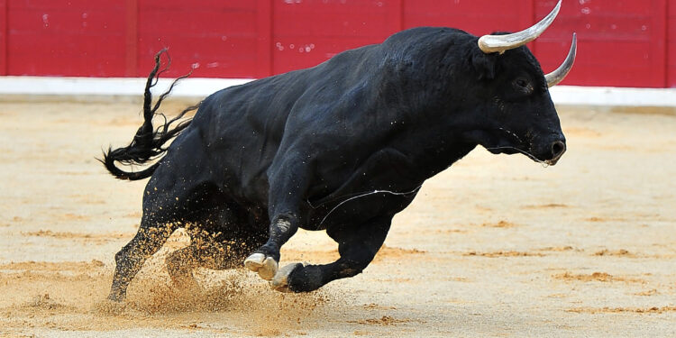 Quant Hype Spikes As Price Surges 15%