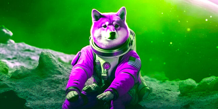More Than 75% of Shiba Inu and Floki Investors Are Sitting on Losses: Crypto Analytics Firm IntoTheBlock