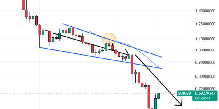 Is It Too Late to Buy Sui? SUI Price Bounces 34% From Recent Bottom and This New Penny Crypto Could Reach $1 Million Soon – What Does it Do?