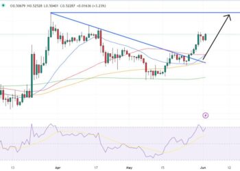 XRP Price Prediction as Hinman Documents Set to be Released – Can XRP 100x After Lawsuit Ends?