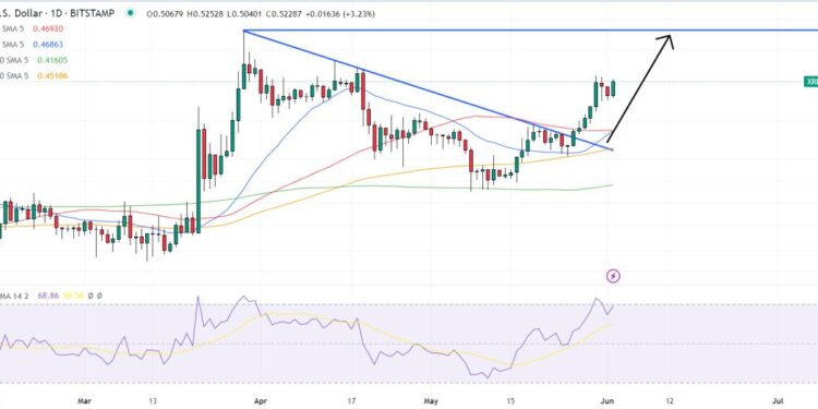 XRP Price Prediction as Hinman Documents Set to be Released – Can XRP 100x After Lawsuit Ends?