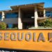 VC Firm Sequoia Capital Slashes Crypto Fund By 65% Amid Bear Market