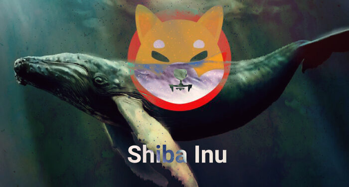 Shiba Inu Whale Holding 10% Of Total Supply Shocks The Market