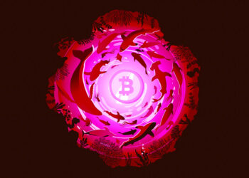 Whales Aggressively Accumulating One Crypto Asset Class As Bitcoin Ranges, Says Santiment – Here’s What It Means