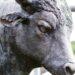 Stellar (XLM) Surges 42% In One Week, What’s Pushing It?