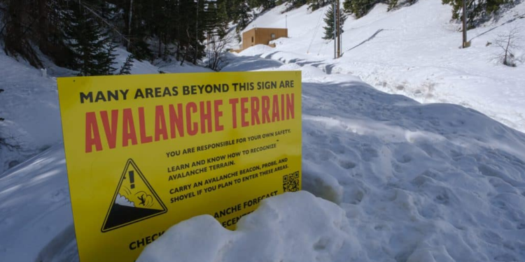 Why AVAX Price Rumble Stalls Despite Surge In Daily Activity