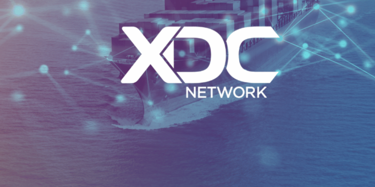 XDC Network Dominates Weekend Top 100 Roster With 50% Rally