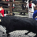 Litecoin Bulls Barrel Back Toward $92 Level