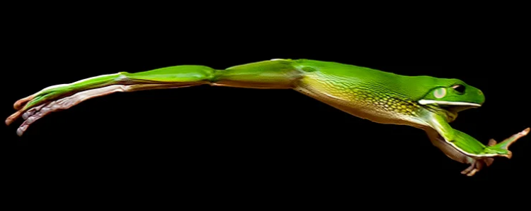 PEPE Surpasses Local Highs In Surprise Comeback