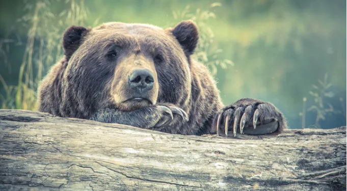 Litecoin Price Weakens Below $100 As Bears Extend Their Grip