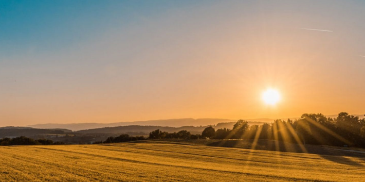 Solana (SOL) Price Climbs 15%