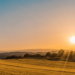 Solana (SOL) Price Climbs 15%