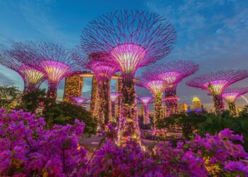 Singapore’s Monetary Authority Enforces Crypto Lending and Staking Ban for Retail Investors