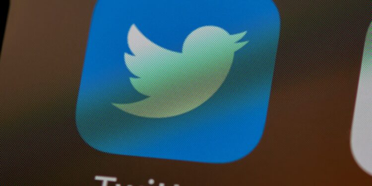 Shiba Inu Leads With Highest Number of Fake Twitter Followers, Data Reveals