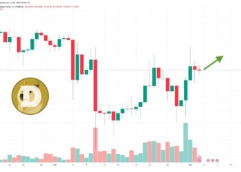 Dogecoin is Going to Zero as Crypto Experts Shift Their Attention to This New Meme Coin – $250,000 Raised Already