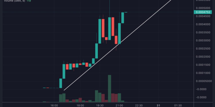 After BALD Price Erupts, Base Devs Also Rumored to be Behind HAIRY Coin, Up 8,000% in 4 Hours