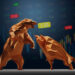 Bollinger Bands See Extreme Squeeze
