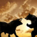 Will Bitcoin Price Soar Or Slump In The Coming Days?