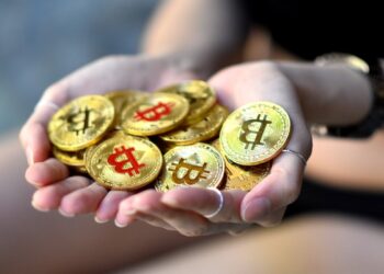 Sequoia Capital Cuts Crypto Fund by Over 65% to $200 Million – What’s Going On?