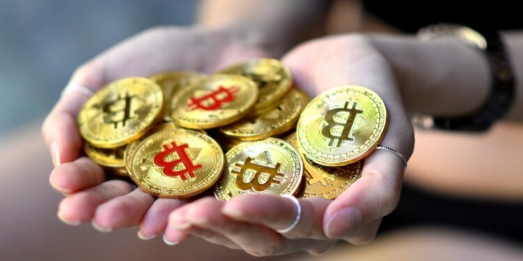 Sequoia Capital Cuts Crypto Fund by Over 65% to $200 Million – What’s Going On?