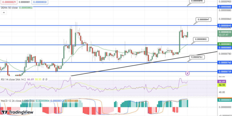 Shiba Inu Price Prediction as SHIB Becomes Best Performing Coin of the Market – Are Whales Buying?