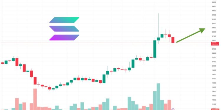 Solana Price Prediction as $1 Billion Trading Volume Comes In – Are Whales Buying?