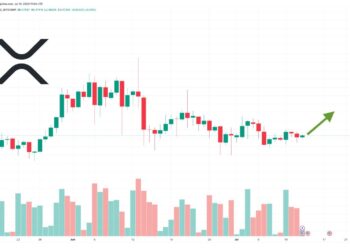 XRP Price Prediction as $600 Million Trading Volume Keeps XRP Above $0.47 – Are Whales Accumulating?