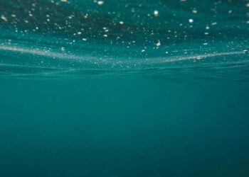 Nearly 90% of Bitcoin Short-Term Holders Are Underwater, Onchain Data Show