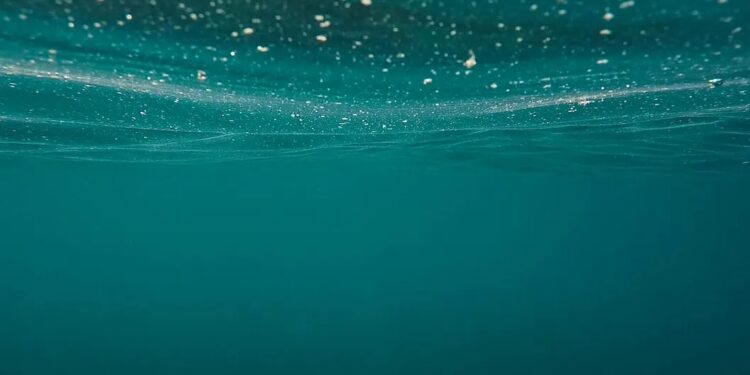 Nearly 90% of Bitcoin Short-Term Holders Are Underwater, Onchain Data Show