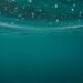 Nearly 90% of Bitcoin Short-Term Holders Are Underwater, Onchain Data Show