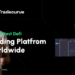 TD Ameritrade or Tradecurve: Where Should Traders Turn for the Best Tools?