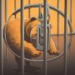 If this is true, Bitcoin will soon exit the bear market