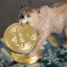 Bear Market ‘Much Worse Than Expected’: Analysts Pitch New Bitcoin Economy Framework