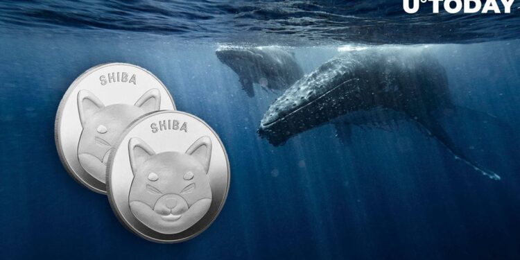 Did Shiba Inu (SHIB) Whales Go Extinct? Bizarre Data Raises Questions