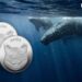 Did Shiba Inu (SHIB) Whales Go Extinct? Bizarre Data Raises Questions