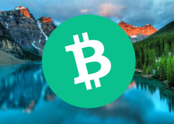 Is It Too Late to Buy Bitcoin Cash? BCH Price Pumps Up 6.5% and Shibie Coin is Fast Approaching $200,000 – Next Top Barbie Meme Coin?