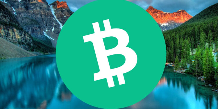 Is It Too Late to Buy Bitcoin Cash? BCH Price Pumps Up 6.5% and Shibie Coin is Fast Approaching $200,000 – Next Top Barbie Meme Coin?