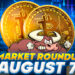 Adam Back’s Bet on 2024 Halving & Whales’ Confidence Boost Amid Market Turbulence